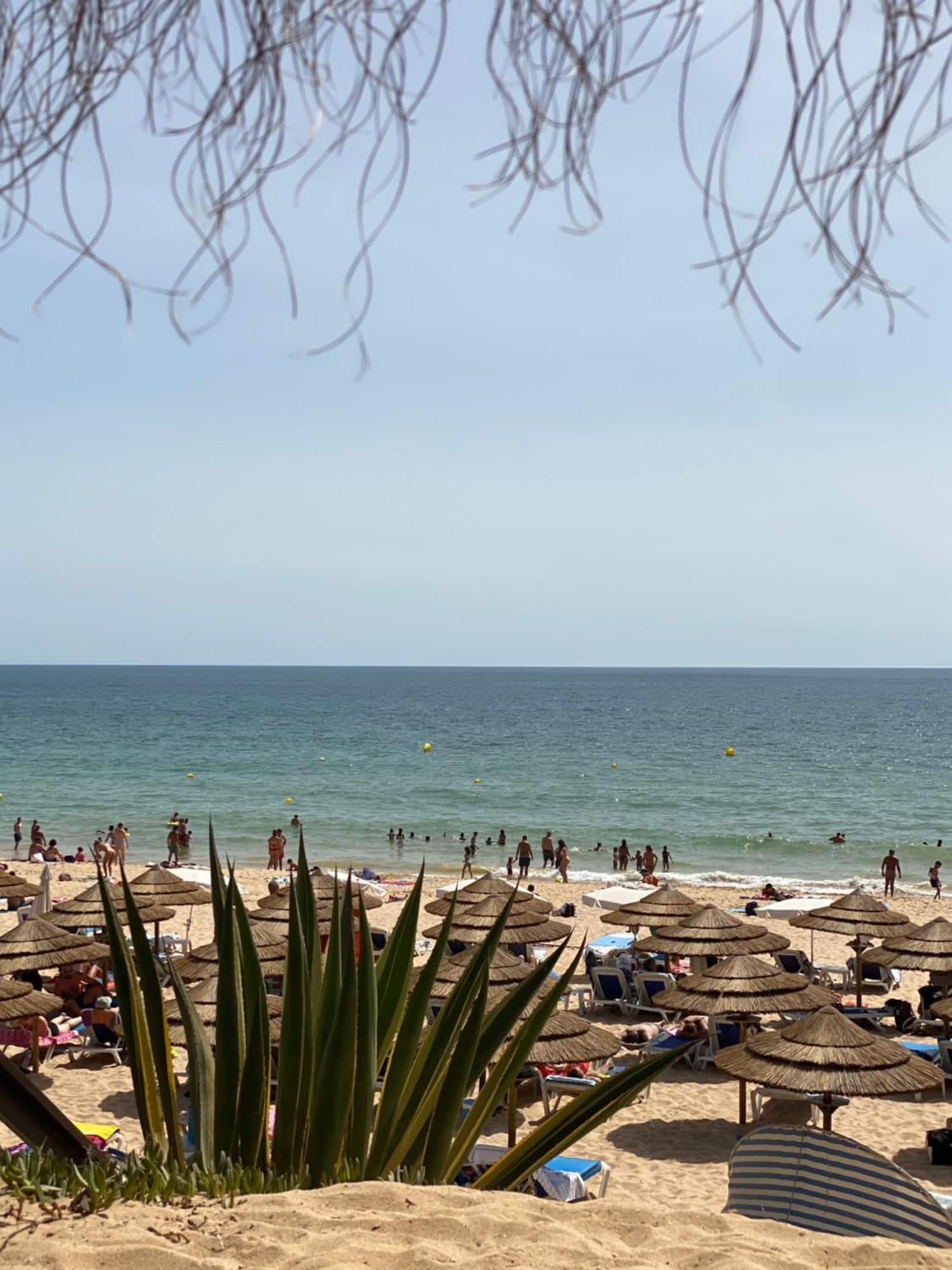 Apartamento Vip Albufeira